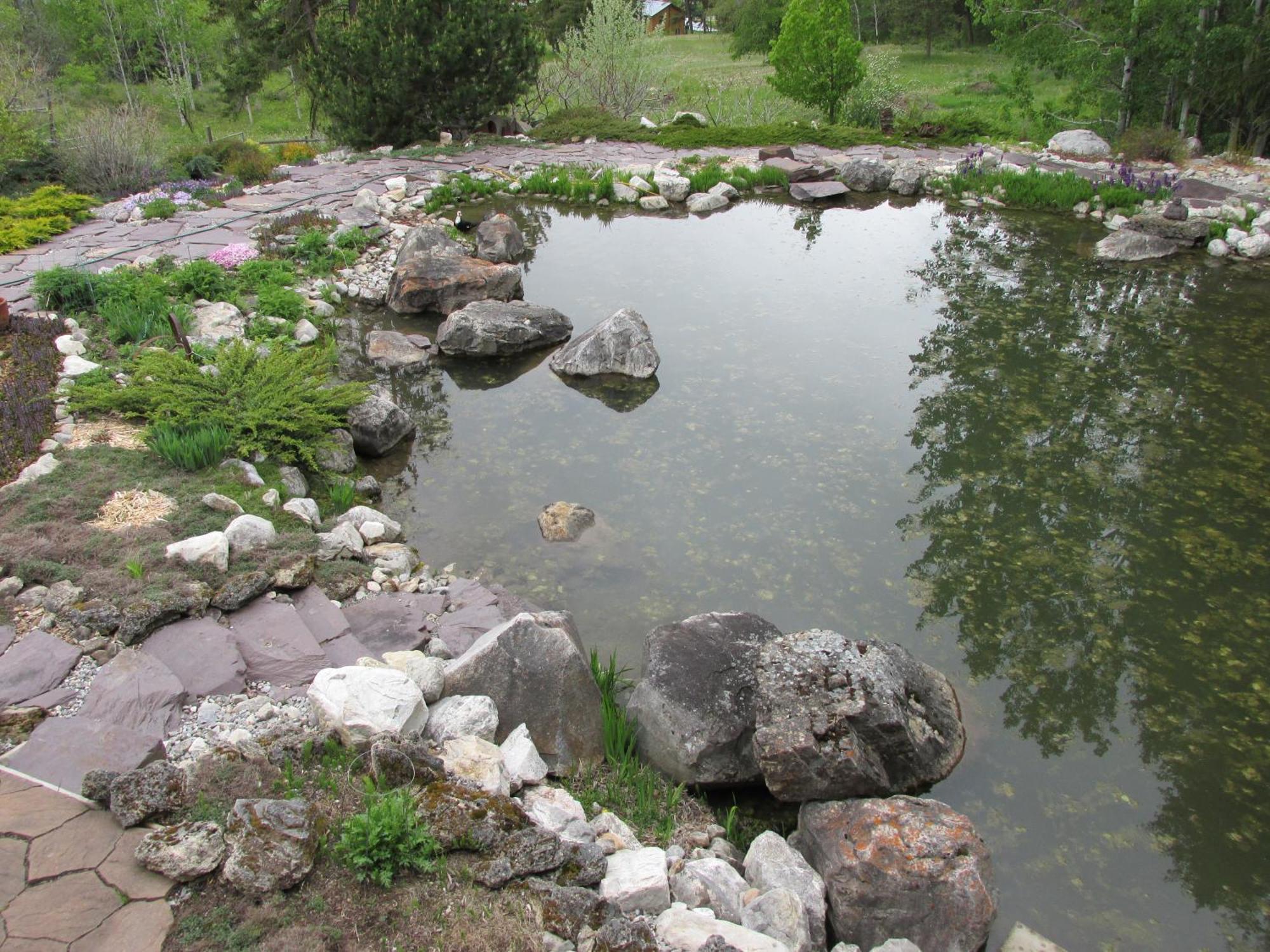 Beard'S Creek Bed And Breakfast Parson 외부 사진